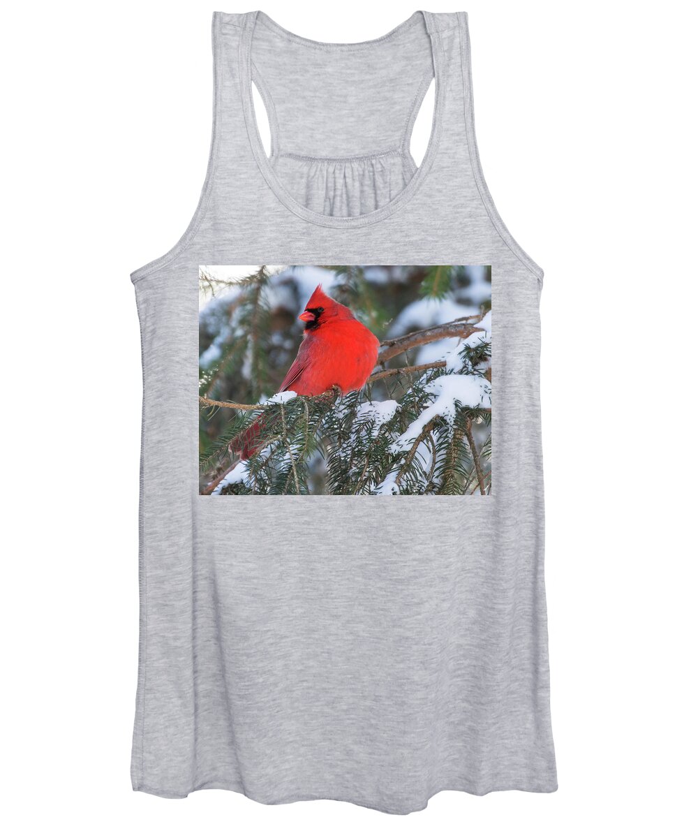 Cardinal Women's Tank Top featuring the photograph Cardinal in Snow by Mindy Musick King