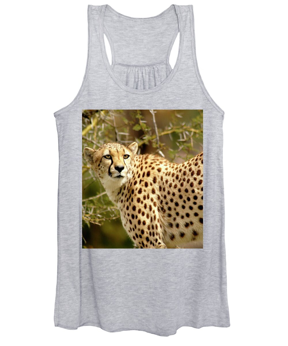 Cheetah Women's Tank Top featuring the photograph Cheetah Portrait on a rock looking looking for prey. by Gunther Allen