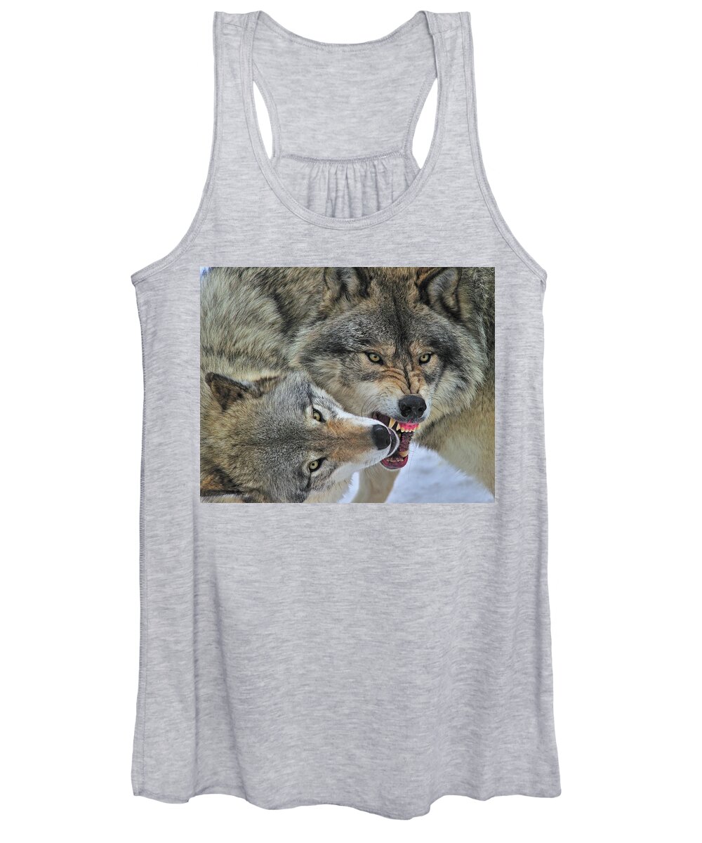 Timber Wolf Women's Tank Top featuring the photograph Circle by Tony Beck
