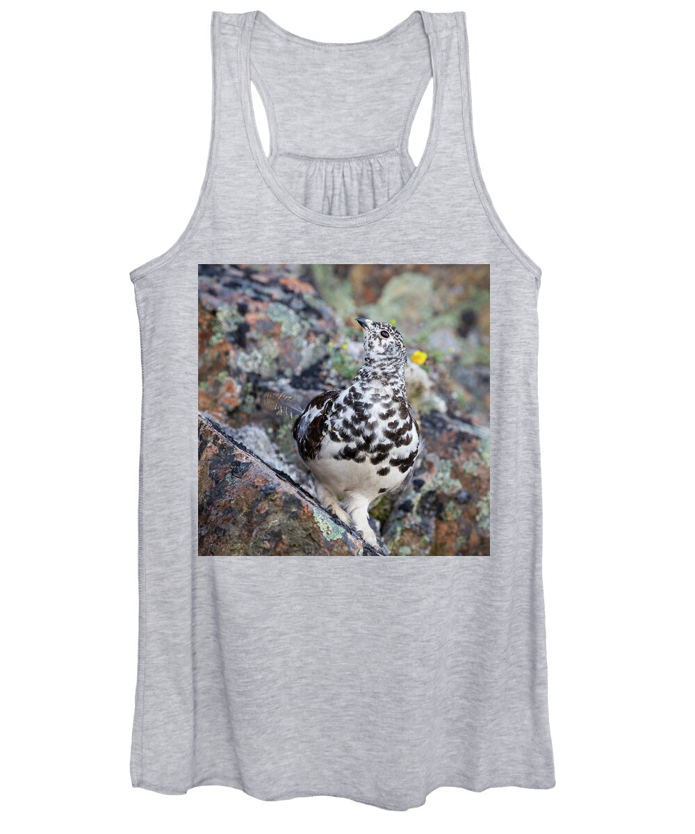 Ptarmigan Women's Tank Top featuring the photograph Cliffside Showoff by Tim Newton