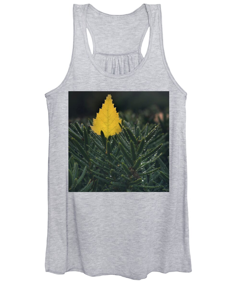 Leaf Women's Tank Top featuring the photograph Chilled by Gene Garnace