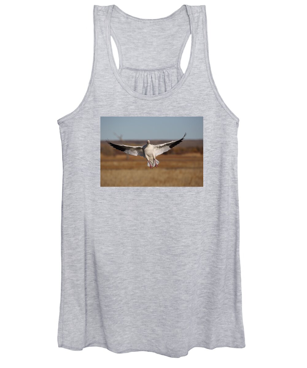 Chen Caerulescens Women's Tank Top featuring the photograph Coming In by Jean Clark