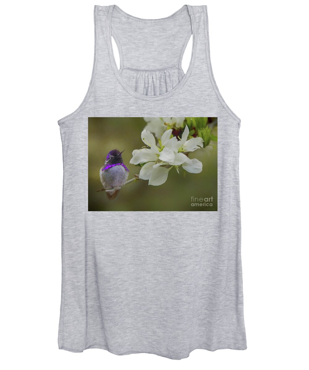 Anacacho Women's Tank Top featuring the photograph Costas Hummingbird on an Anacacho Orchid Branch by Teresa Wilson