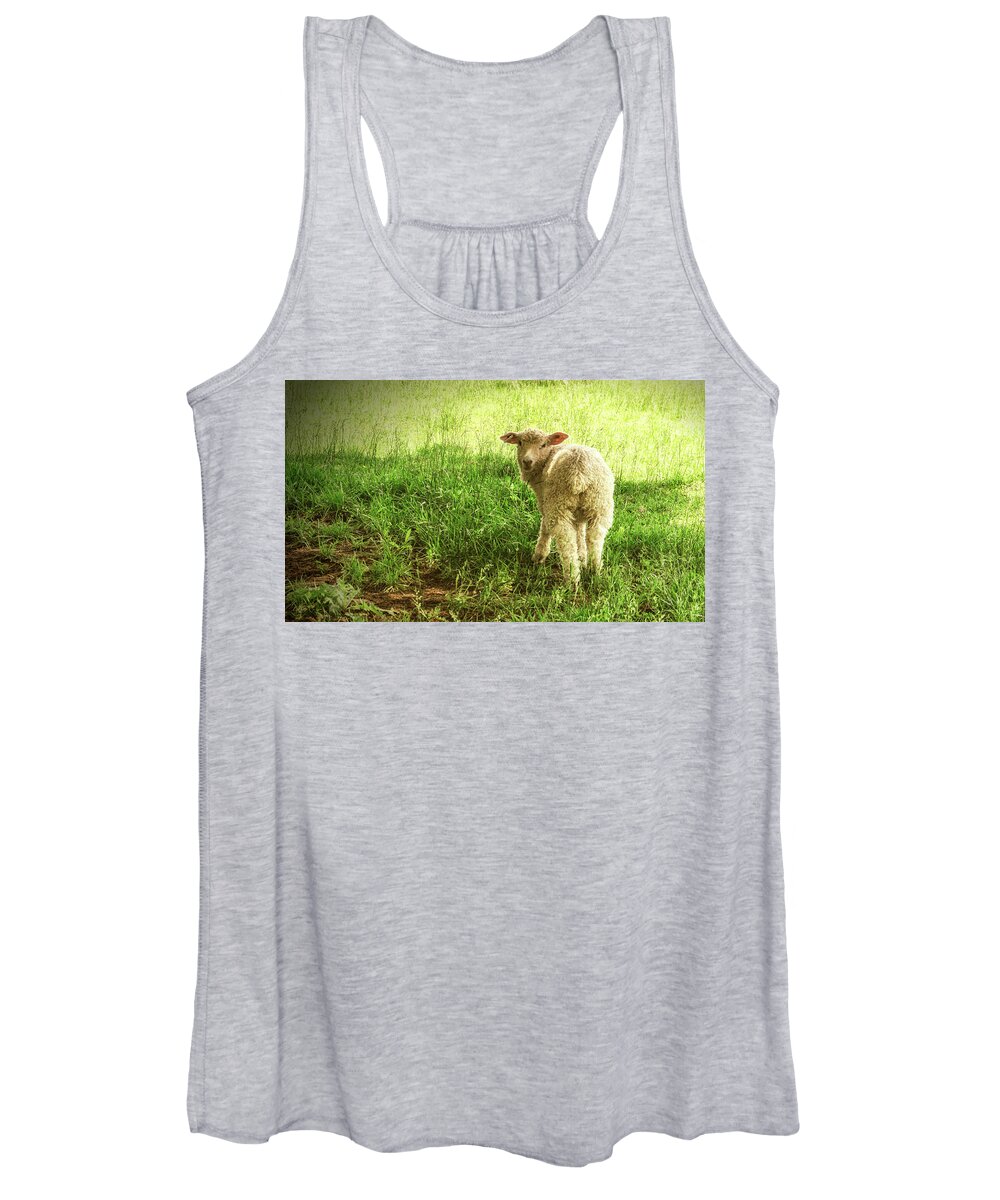 Cotswold Women's Tank Top featuring the photograph Cotswold Sheep by Jim Cook