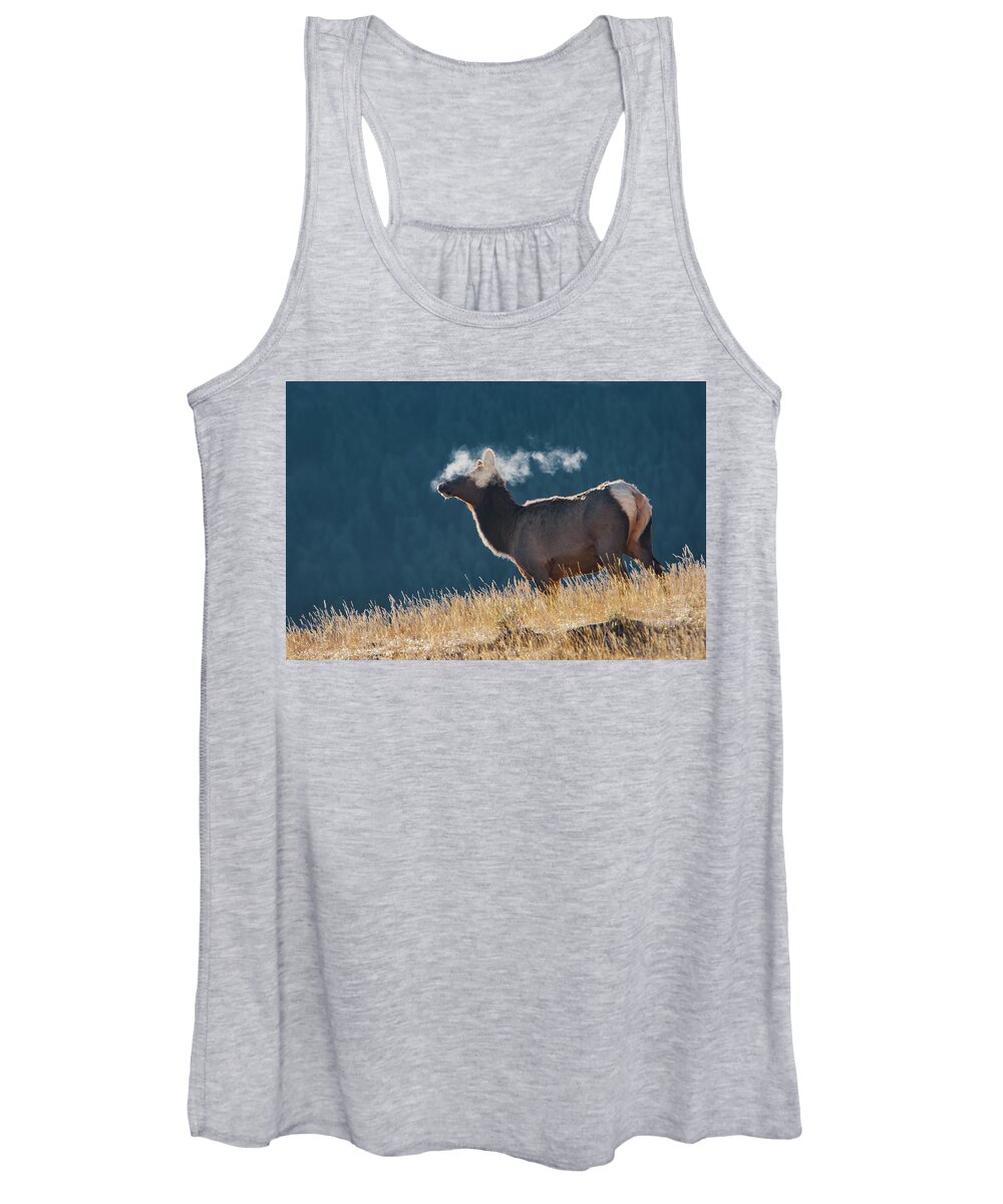 Mark Miller Photos Women's Tank Top featuring the photograph Cow Elk with Steamy Breath by Mark Miller
