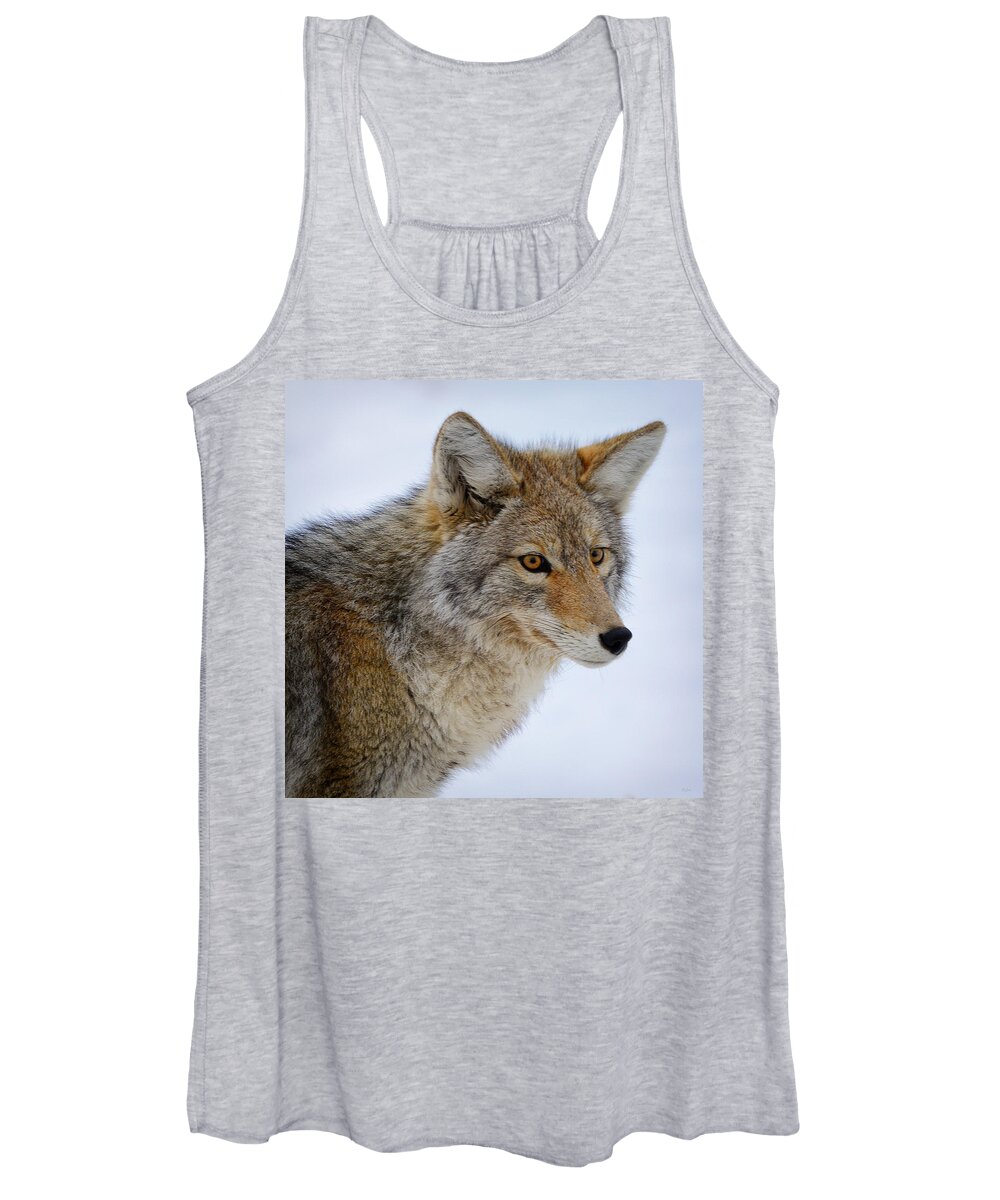 Coyote Women's Tank Top featuring the photograph Coyote Portrait by Greg Norrell