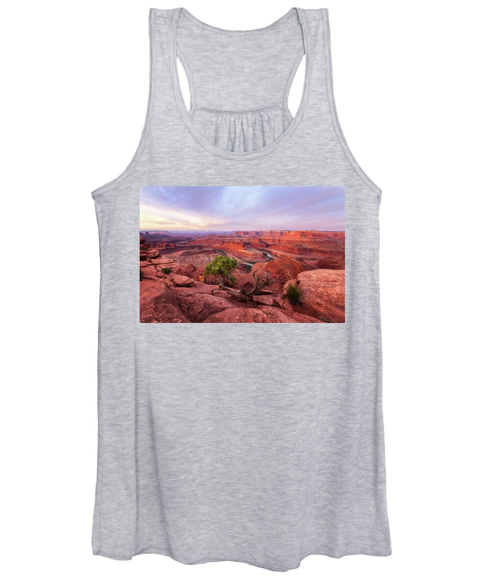 American Women's Tank Top featuring the photograph Dead Horse Point by Alex Mironyuk