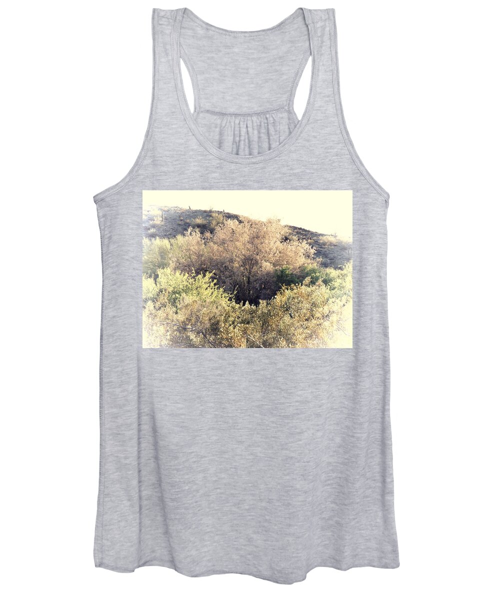 Afternoon Light Women's Tank Top featuring the photograph Desert Ironwood Afternoon by Judy Kennedy