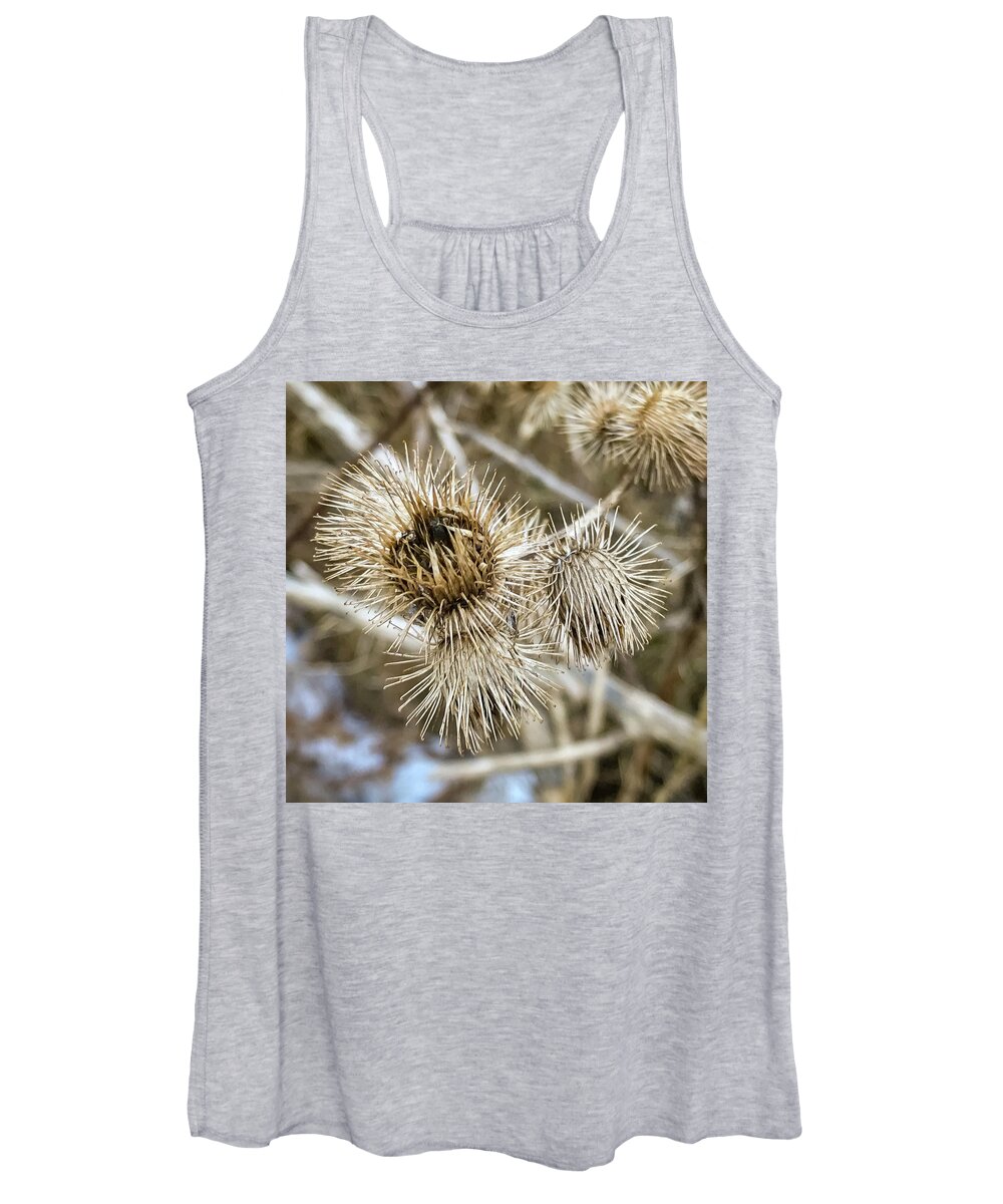 Botanical Women's Tank Top featuring the photograph Dry thistle buds by SAURAVphoto Online Store