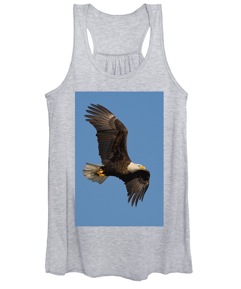 Eagle Women's Tank Top featuring the photograph Eagle in Sunlight by William Jobes
