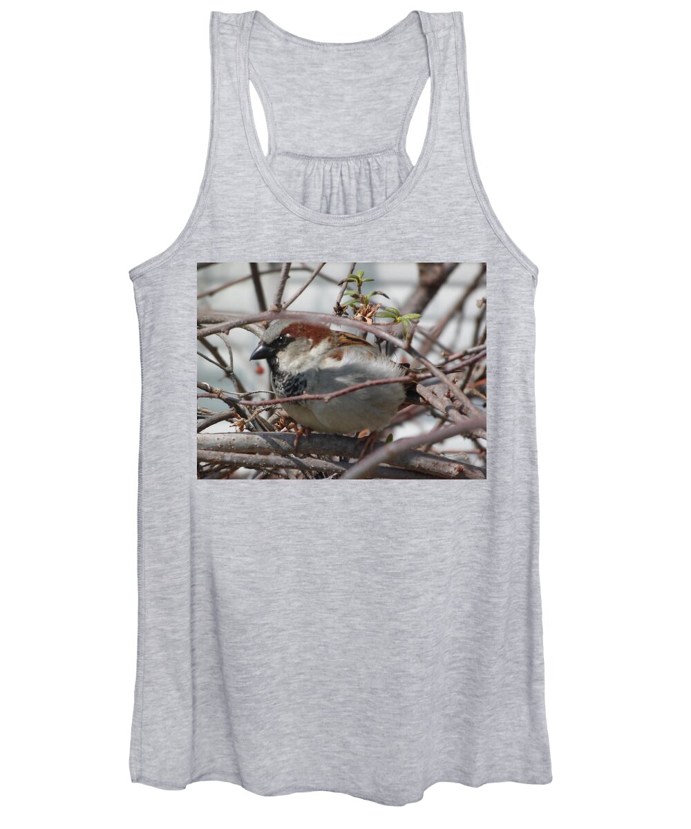 Bird Women's Tank Top featuring the photograph Early Bird by Antonio Moore