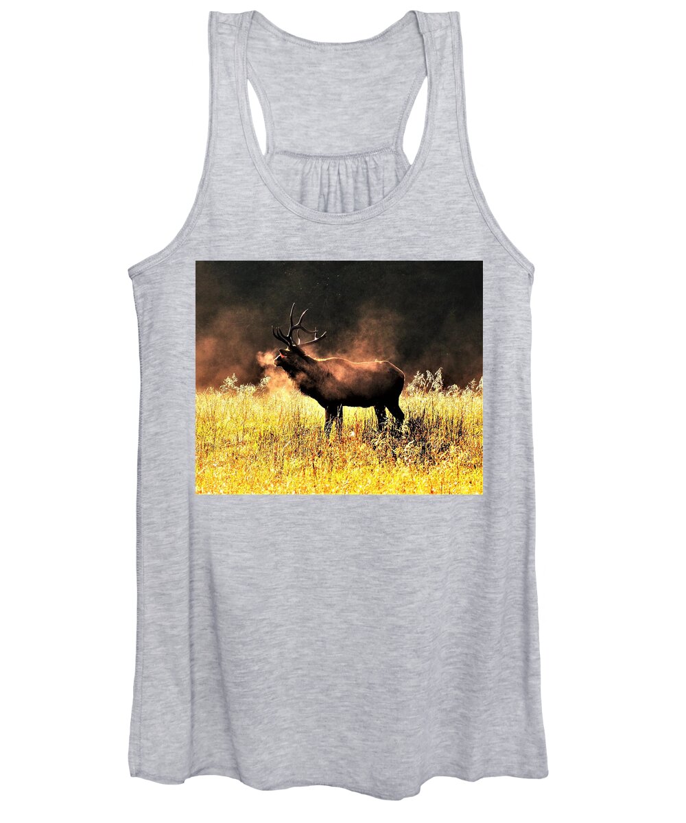 Bull Elk Women's Tank Top featuring the photograph Early morning steam by Chuck Brown
