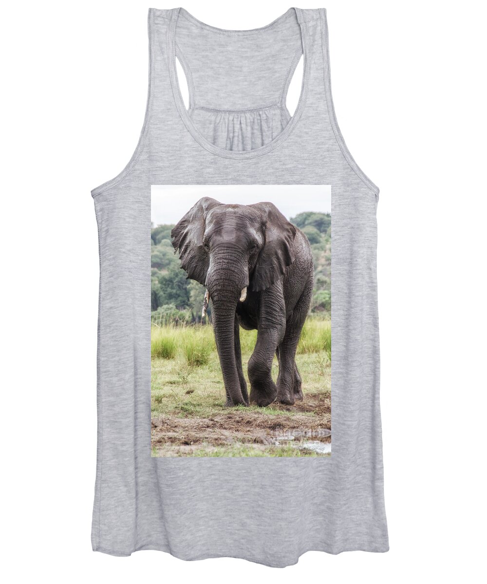 Elephant Women's Tank Top featuring the photograph Elephant 3 by Pat Lucas