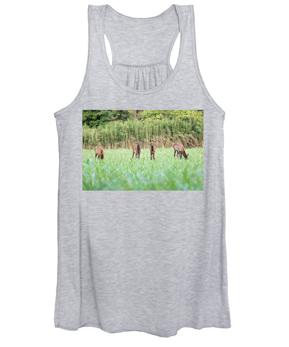 Elk Women's Tank Top featuring the photograph Elk Calves by Eilish Palmer