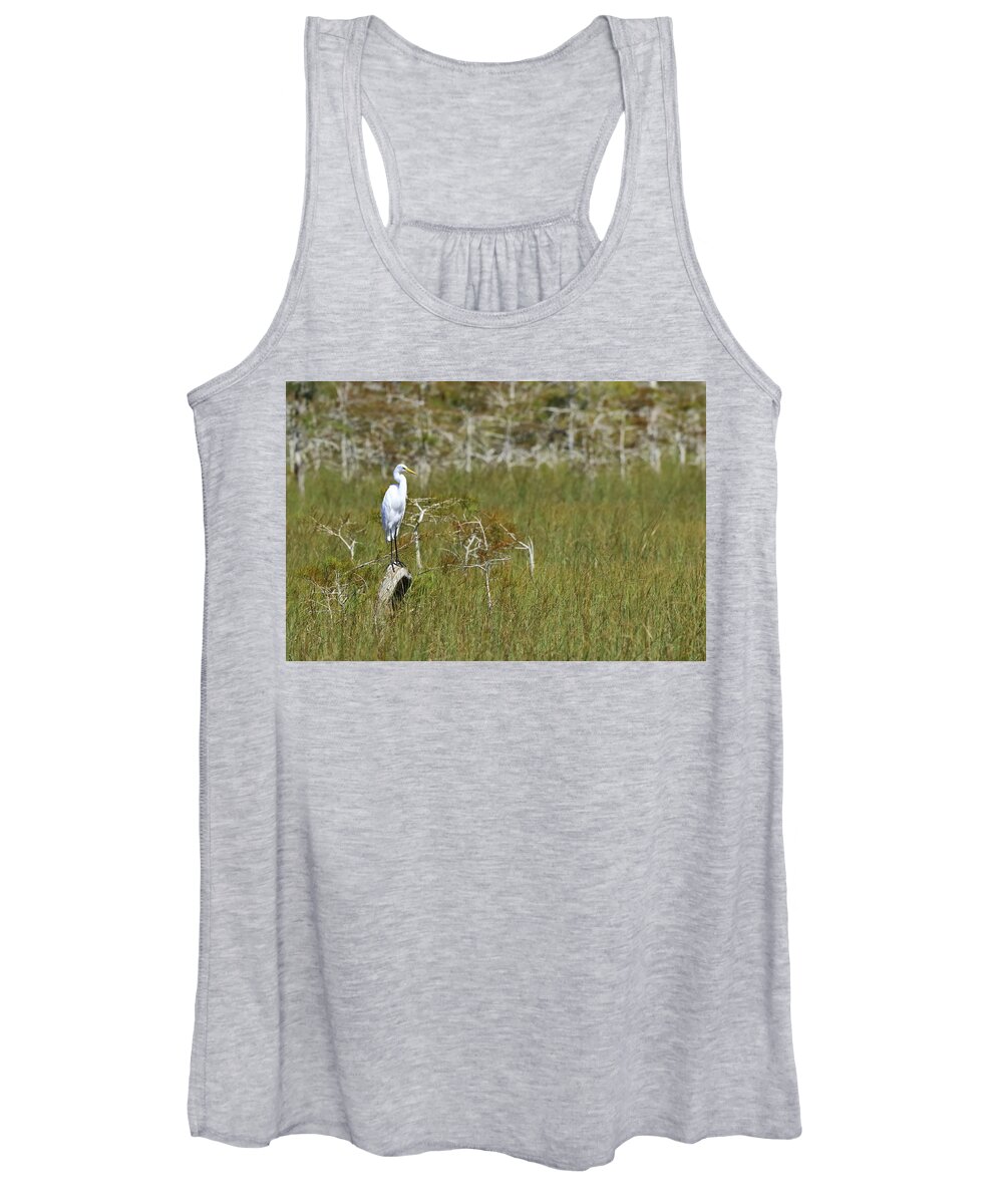 Everglades National Park Women's Tank Top featuring the photograph Everglades 451 by Michael Fryd