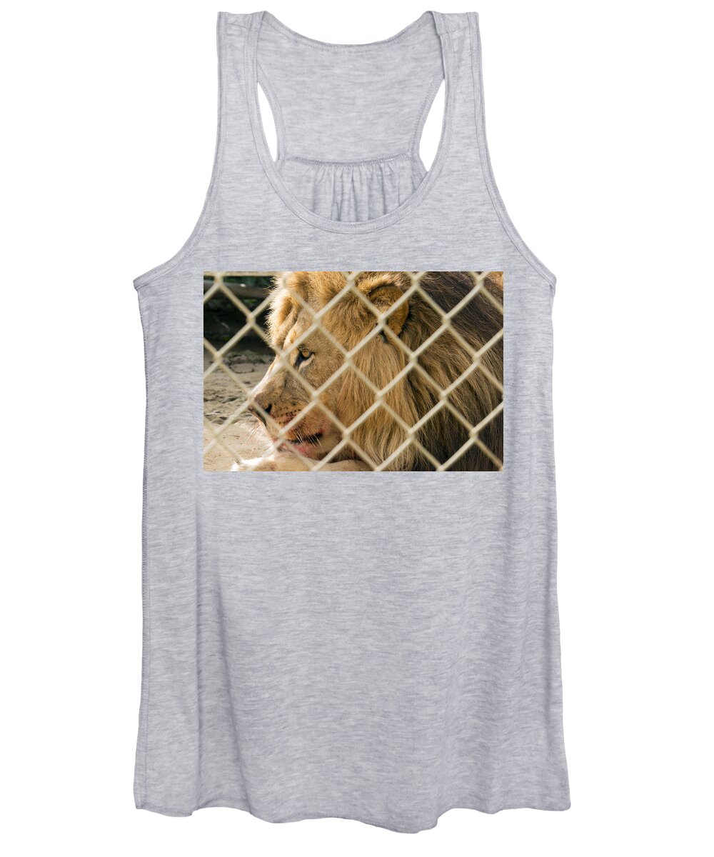 Acres Women's Tank Top featuring the photograph Feast for a King by Travis Rogers