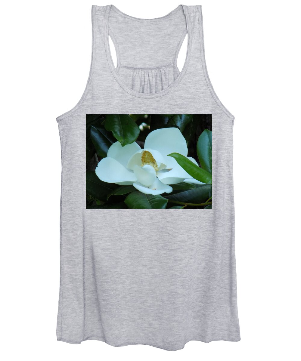 Magnolia Women's Tank Top featuring the photograph First Bloom by Cindy Gray