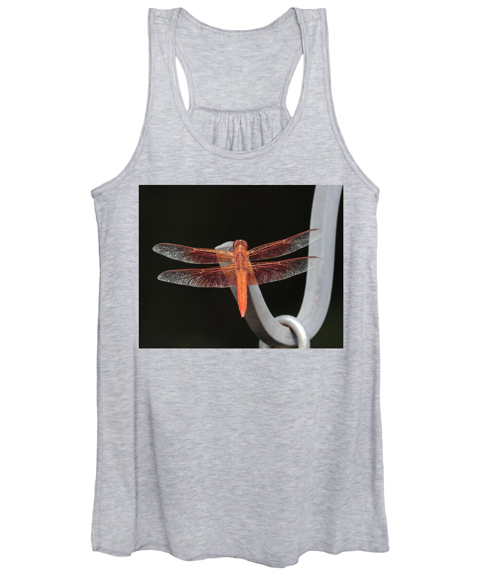 Flame Skimmer Women's Tank Top featuring the photograph Flame Skimmer by John Moyer