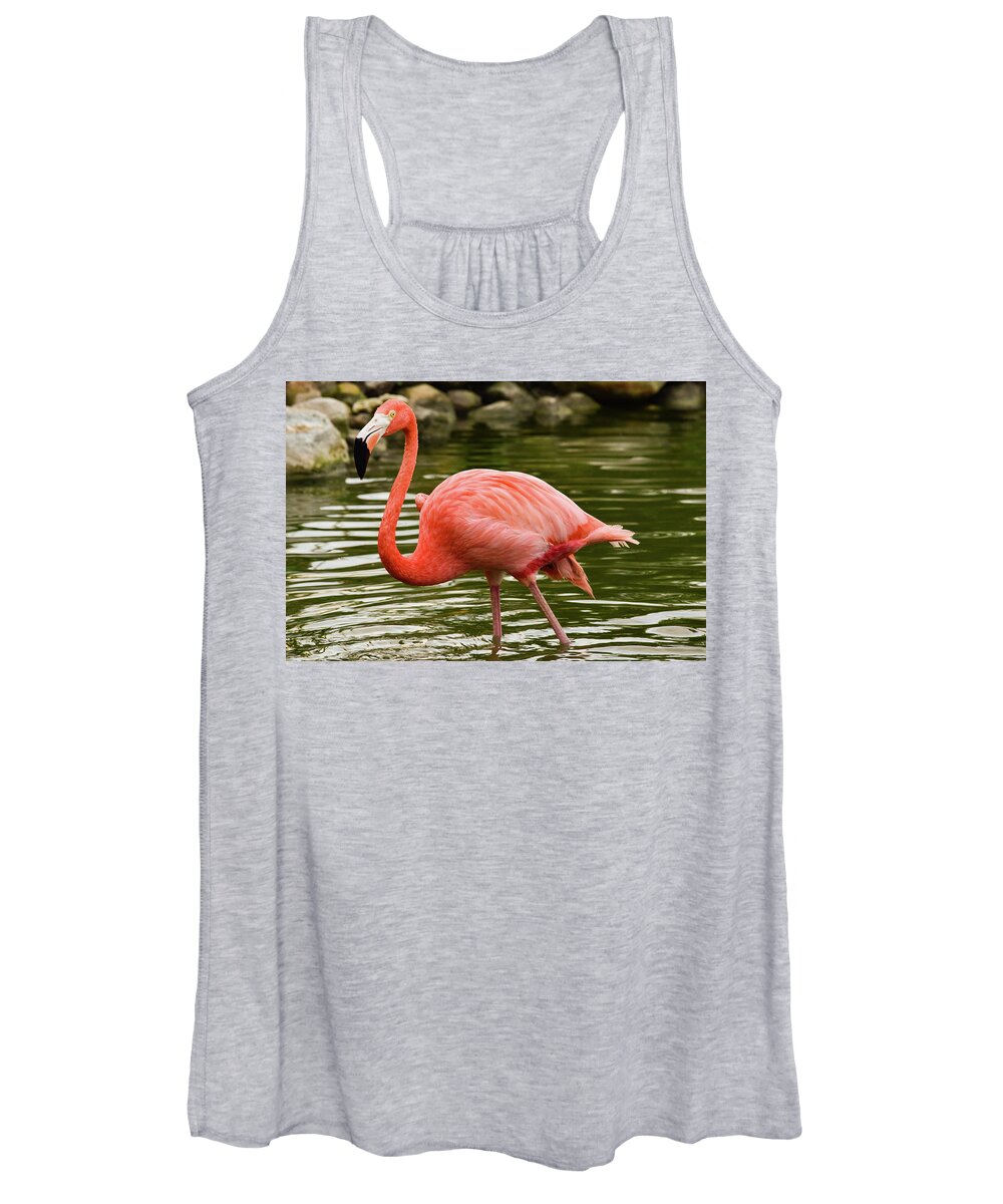 Flamingo Women's Tank Top featuring the photograph Flamingo Wades by Nicole Lloyd