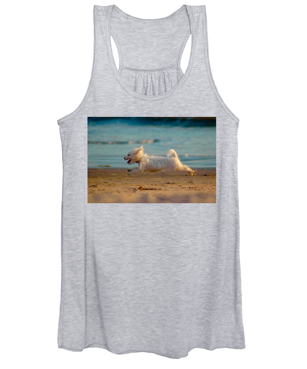 Dog Women's Tank Top featuring the photograph Flying Dog by Harry Spitz