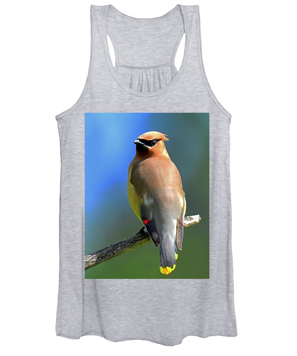 Waxwing Women's Tank Top featuring the photograph Gorgeous Cedar Waxwing by Rodney Campbell