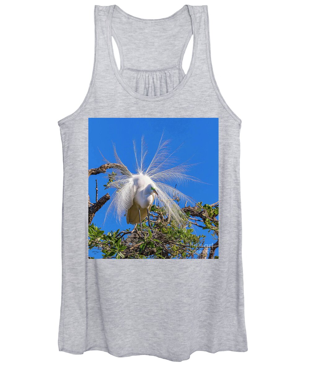 Egrets Women's Tank Top featuring the photograph Great Egret In Breeding Plumage by DB Hayes