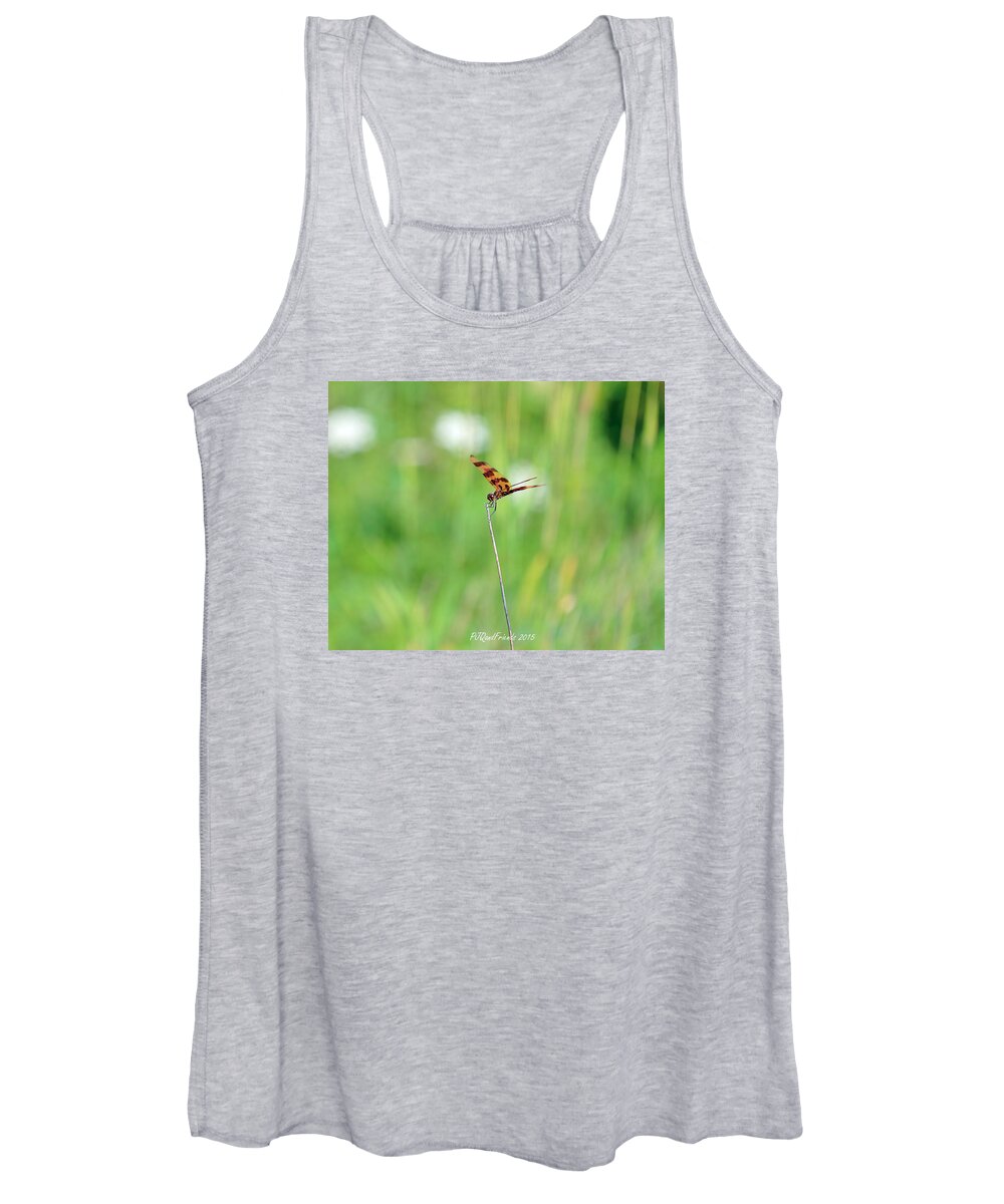 Halloween Pennant Dragonfly Women's Tank Top featuring the photograph Halloween Pennant by PJQandFriends Photography