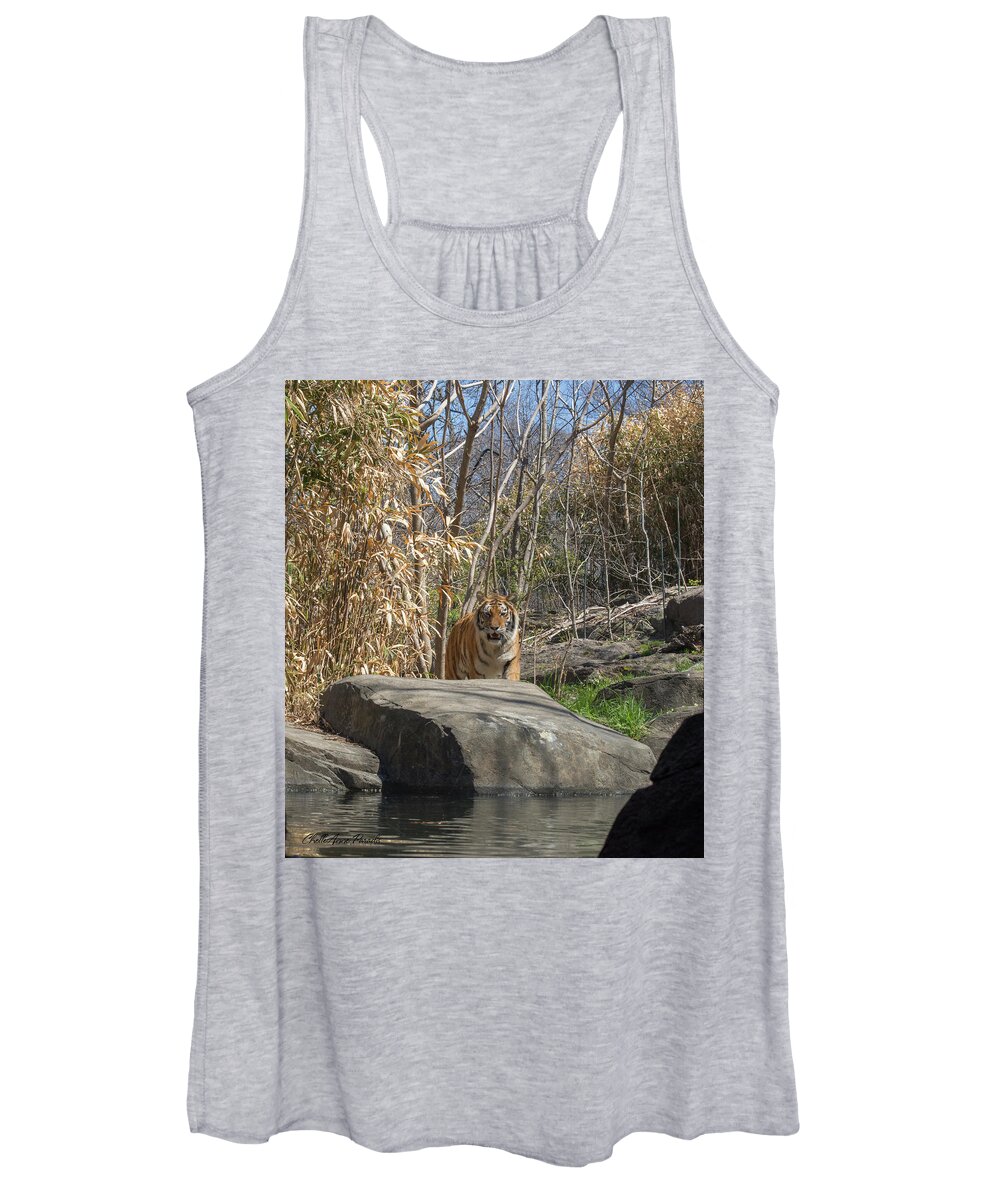 Tiger Women's Tank Top featuring the photograph Hello Kitty by ChelleAnne Paradis