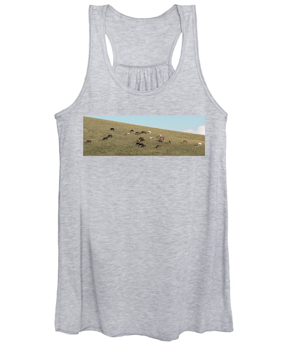 Horses Women's Tank Top featuring the photograph Horses On The Hill by D K Wall