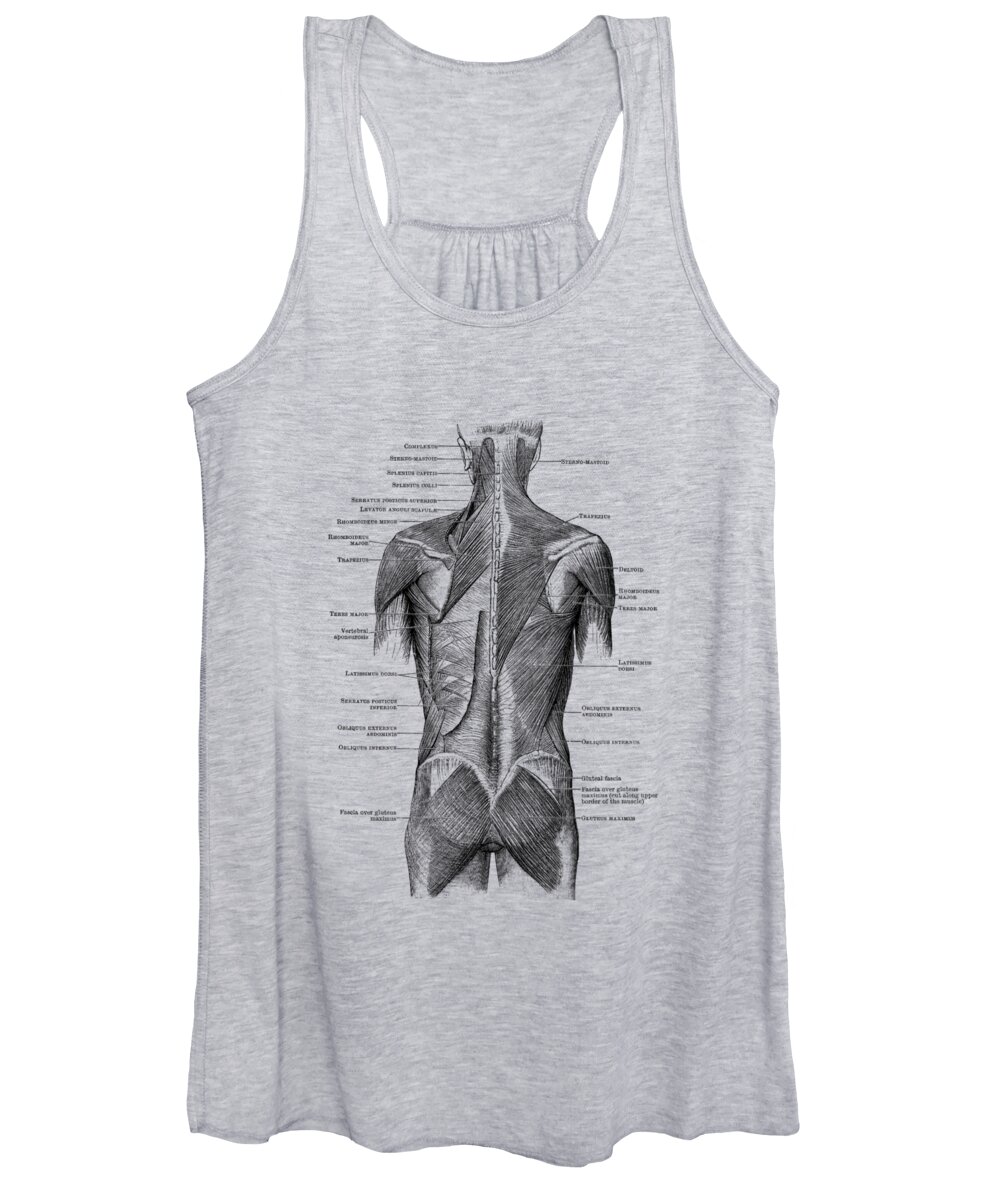 Glutes Women's Tank Top featuring the drawing Human Muscular System - Back and Glutes by Vintage Anatomy Prints