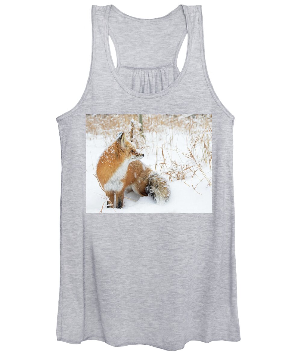 Fox Women's Tank Top featuring the photograph In The Distance #2 by Mindy Musick King