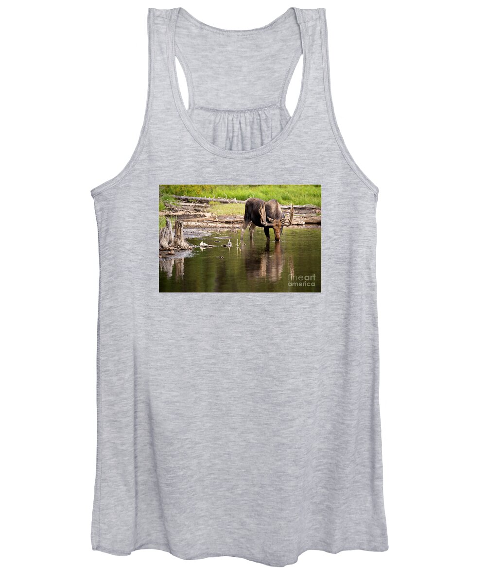 Bull Moose Women's Tank Top featuring the photograph In The Drink by Aaron Whittemore