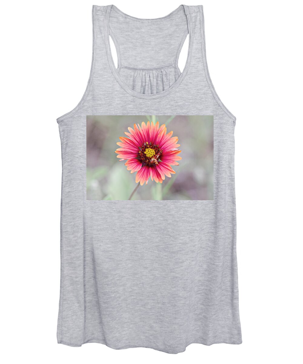 Indian Women's Tank Top featuring the photograph Indian Blanket by James Smullins