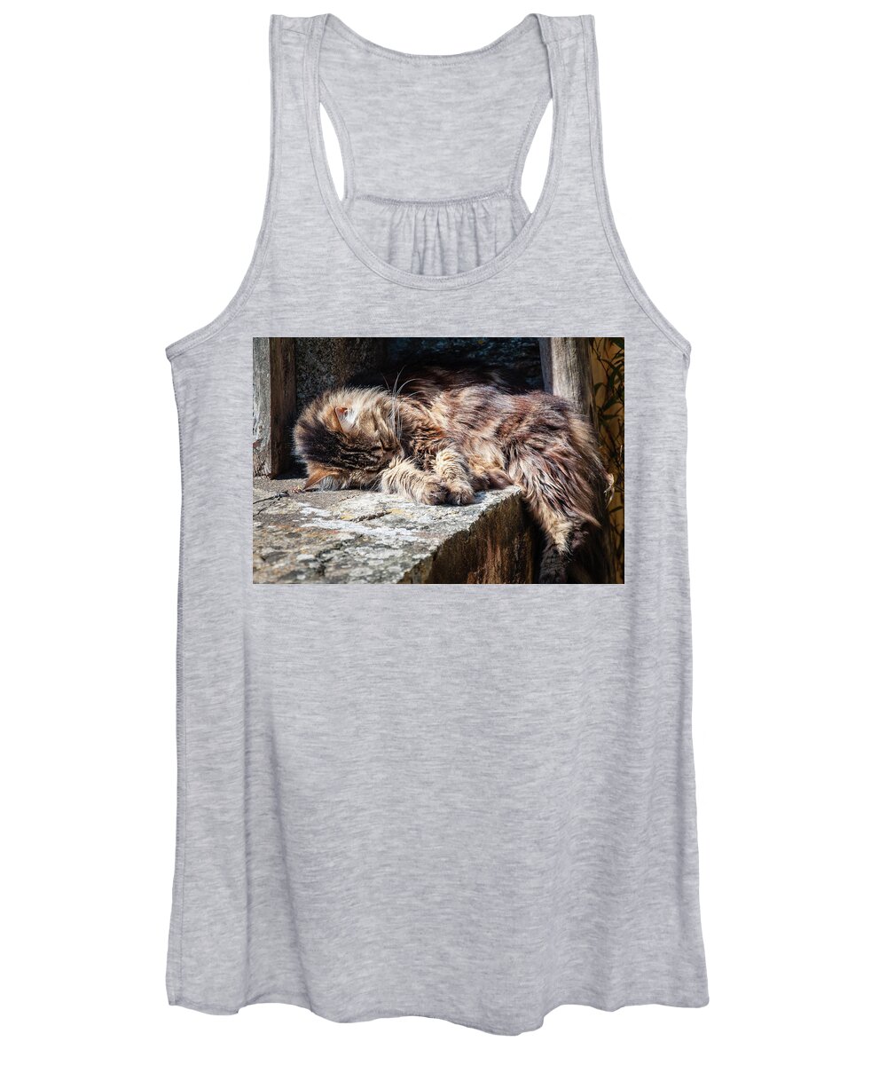Cat Women's Tank Top featuring the photograph It's a Hard Life by Geoff Smith