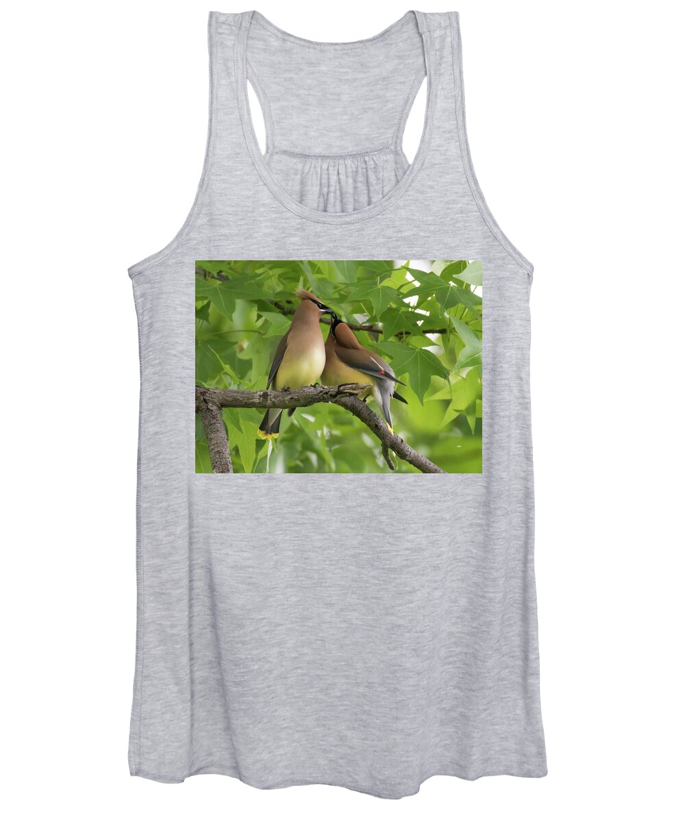 Bird Women's Tank Top featuring the photograph Kissing in a Tree by Jody Partin