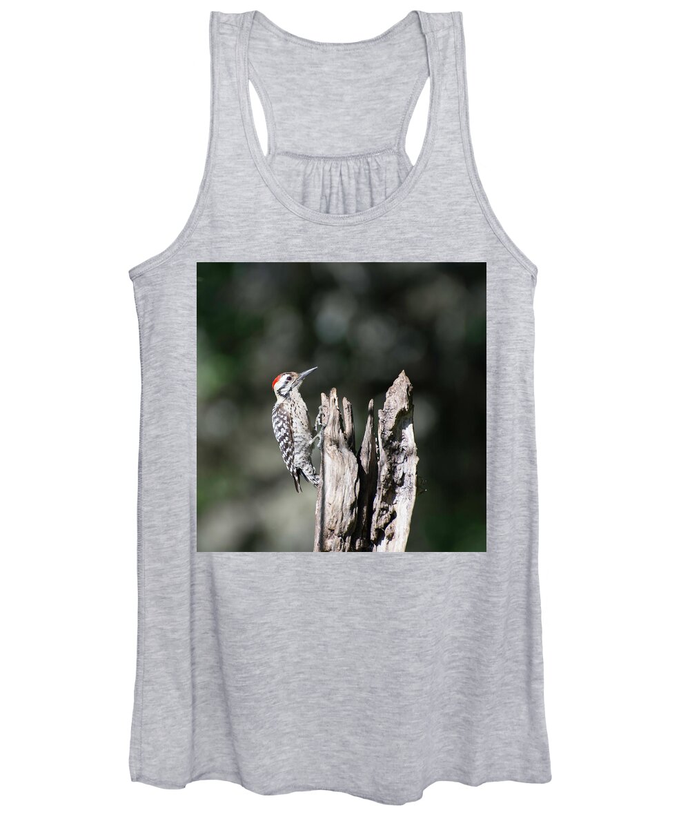 Bird Women's Tank Top featuring the photograph Ladderback Woodpecker by Peggy Blackwell
