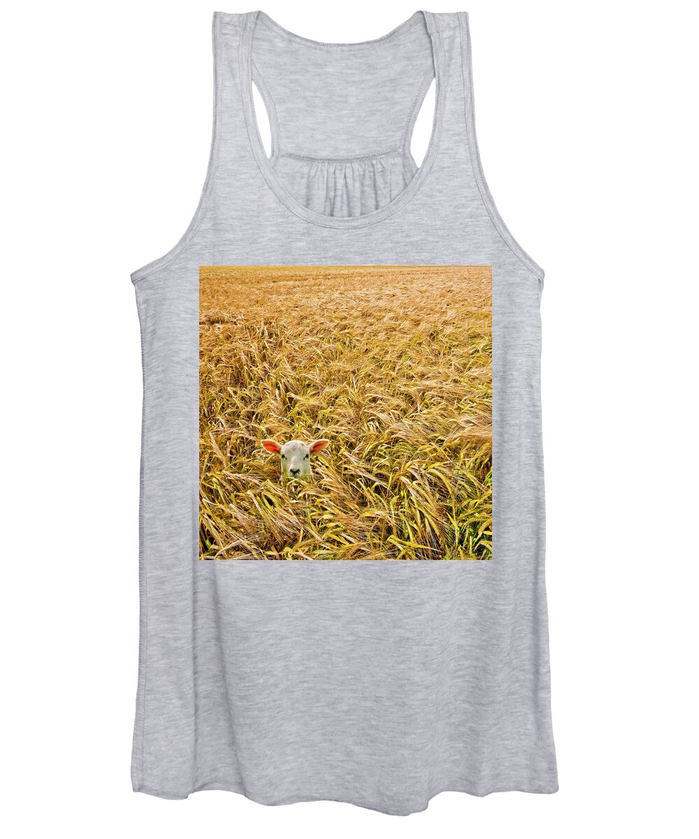 Sheep Women's Tank Top featuring the photograph Lamb With Barley by Meirion Matthias