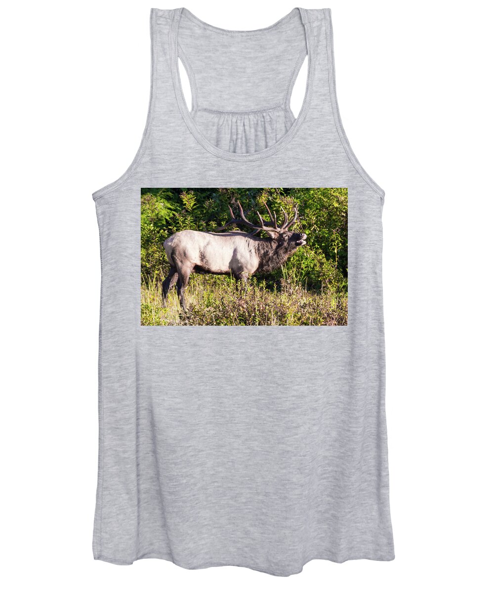 Bull Women's Tank Top featuring the photograph Large Bull Elk Bugling by D K Wall