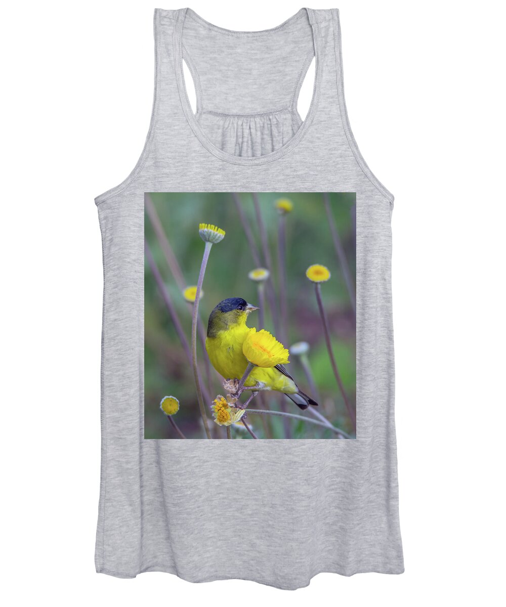 Lesser Women's Tank Top featuring the photograph Lesser Goldfinch 1806-031318-1cr by Tam Ryan