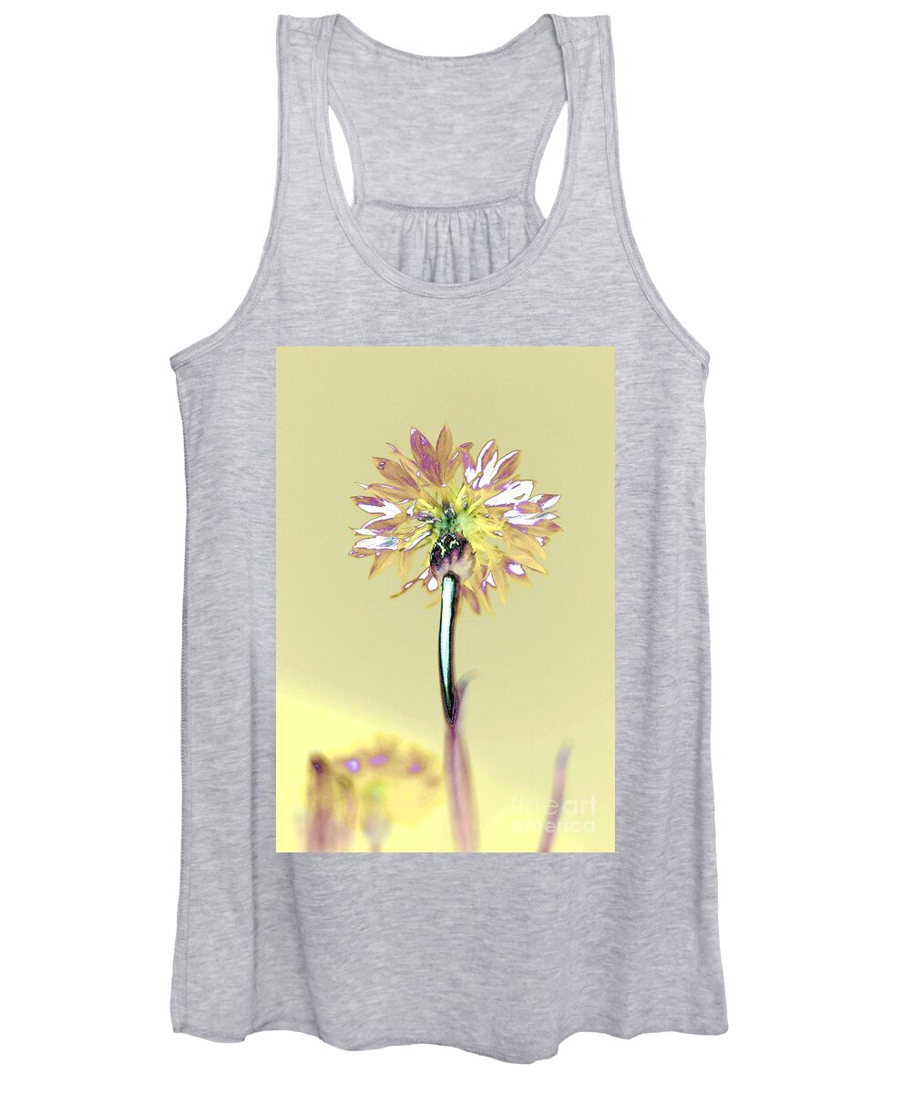 Flower Women's Tank Top featuring the photograph Light and Lovely by Dani McEvoy