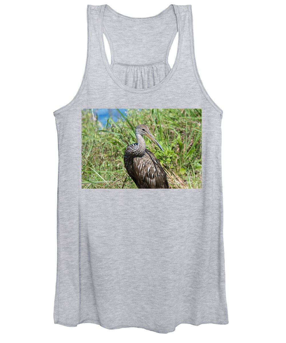 Limpkin Women's Tank Top featuring the photograph Limpkin by John Greco