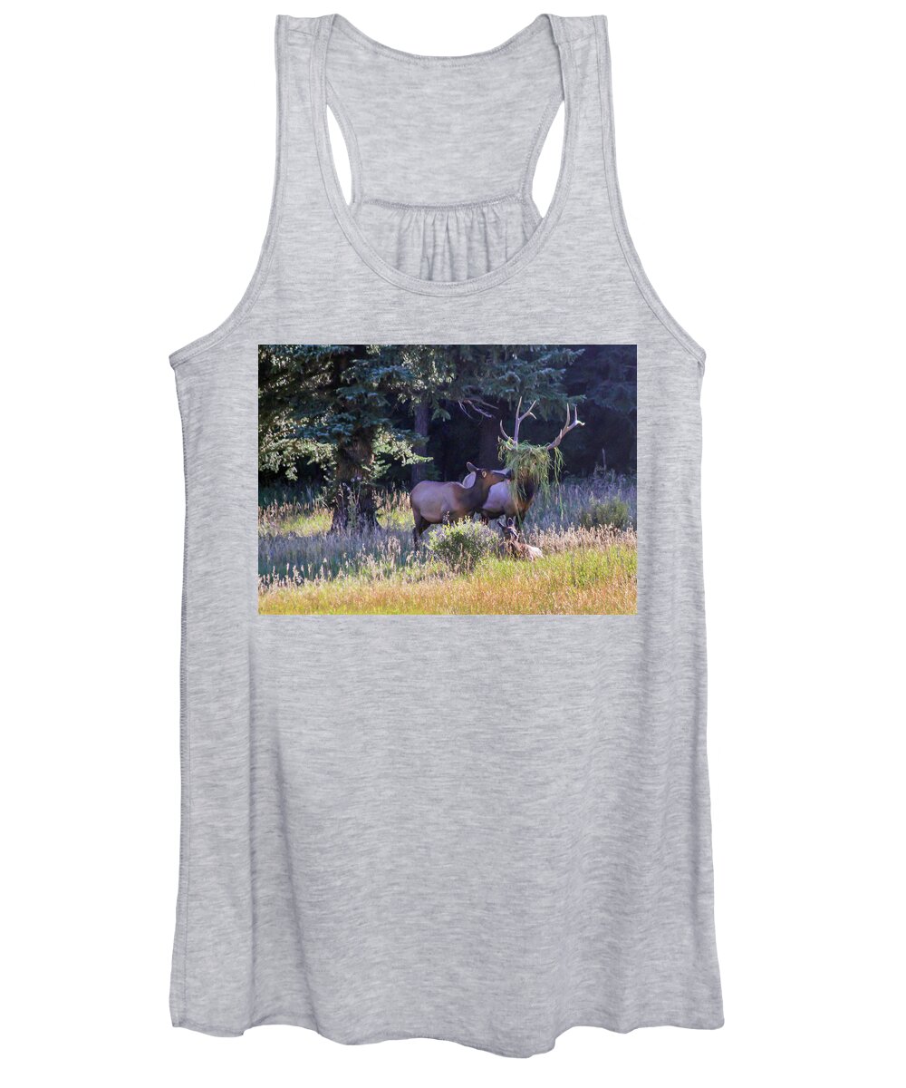 Elk Women's Tank Top featuring the photograph Loving The New Hairdo by Shane Bechler