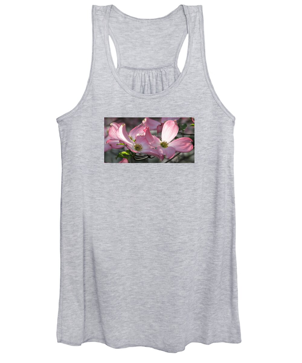 Pink Dogwood Women's Tank Top featuring the photograph Magic Morning by Angela Davies