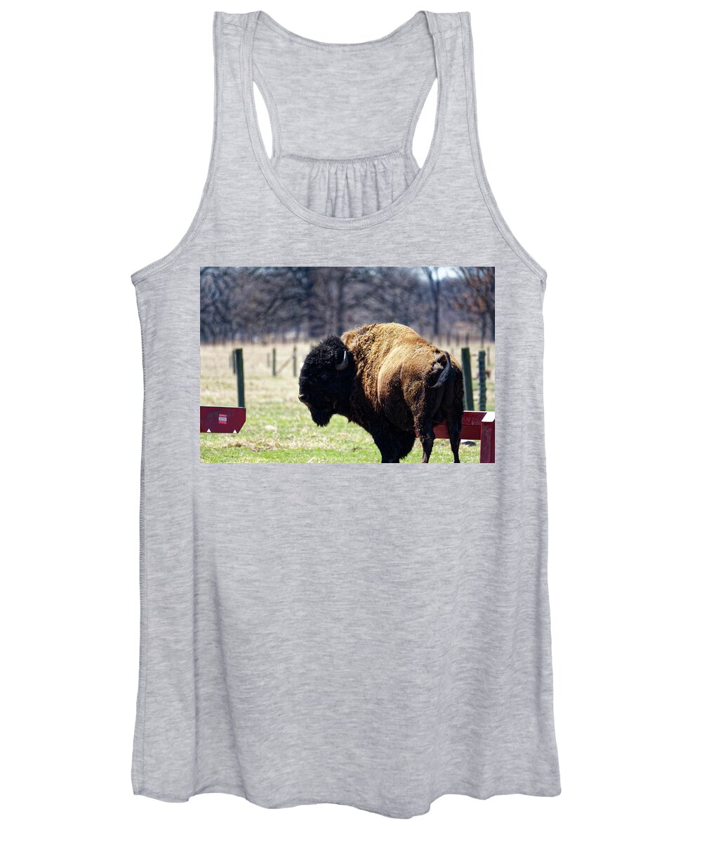Bison Women's Tank Top featuring the photograph Male Bison by Peter Ponzio