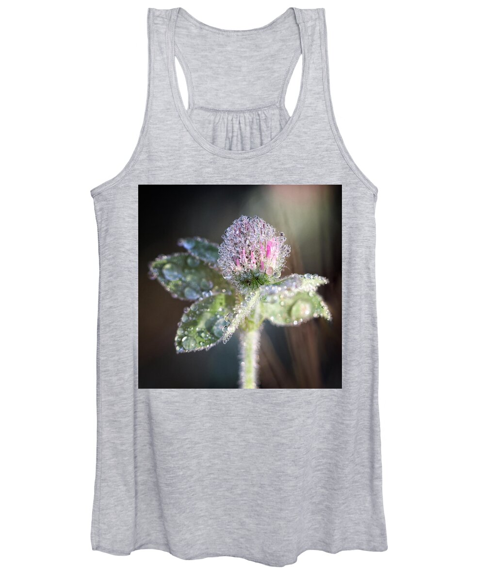 Flower Women's Tank Top featuring the photograph Dew on Clover by Alisa Smith Williams