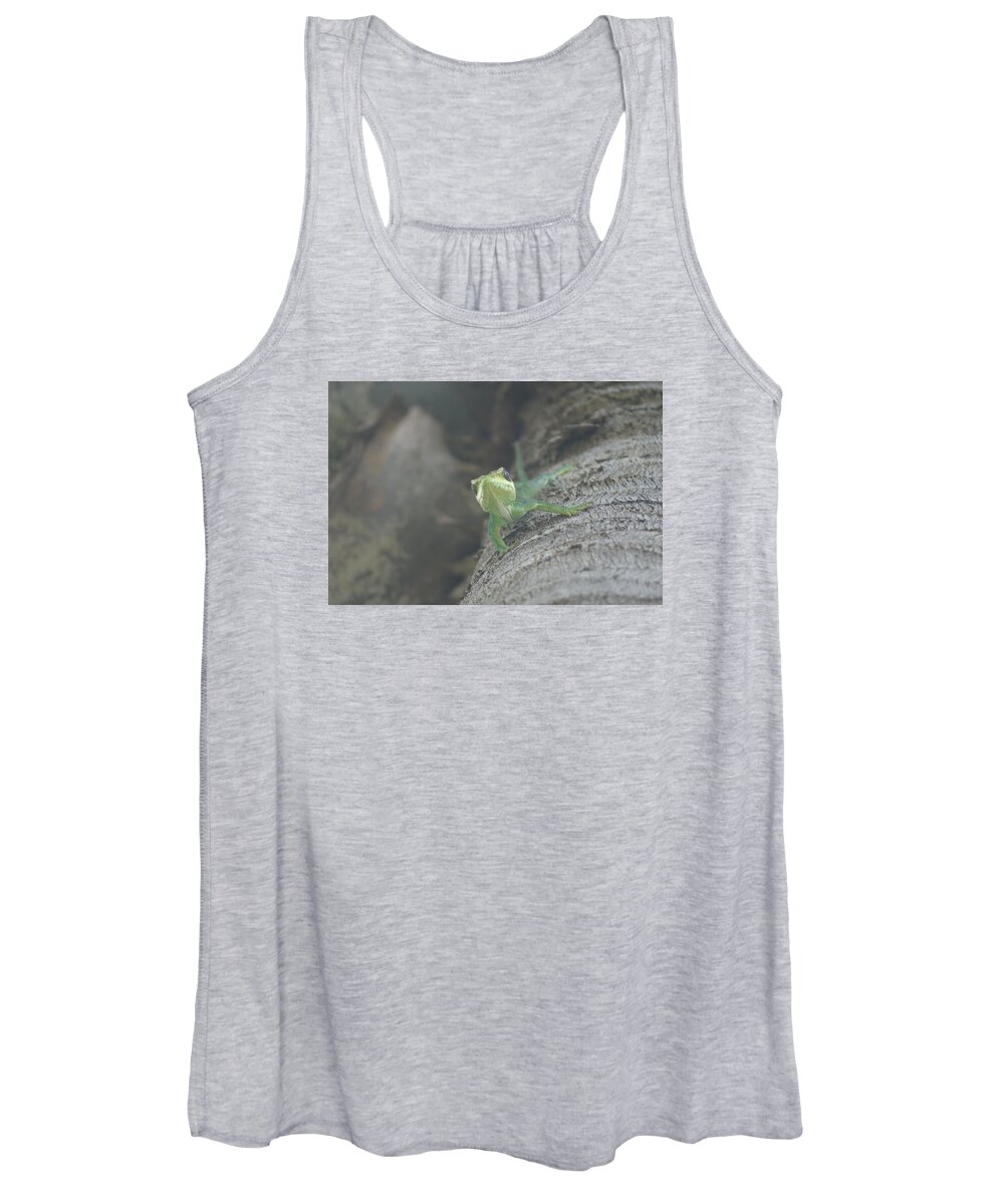 Cuban Knight Anole Women's Tank Top featuring the photograph Cuban Knight Anole by Lindsey Floyd