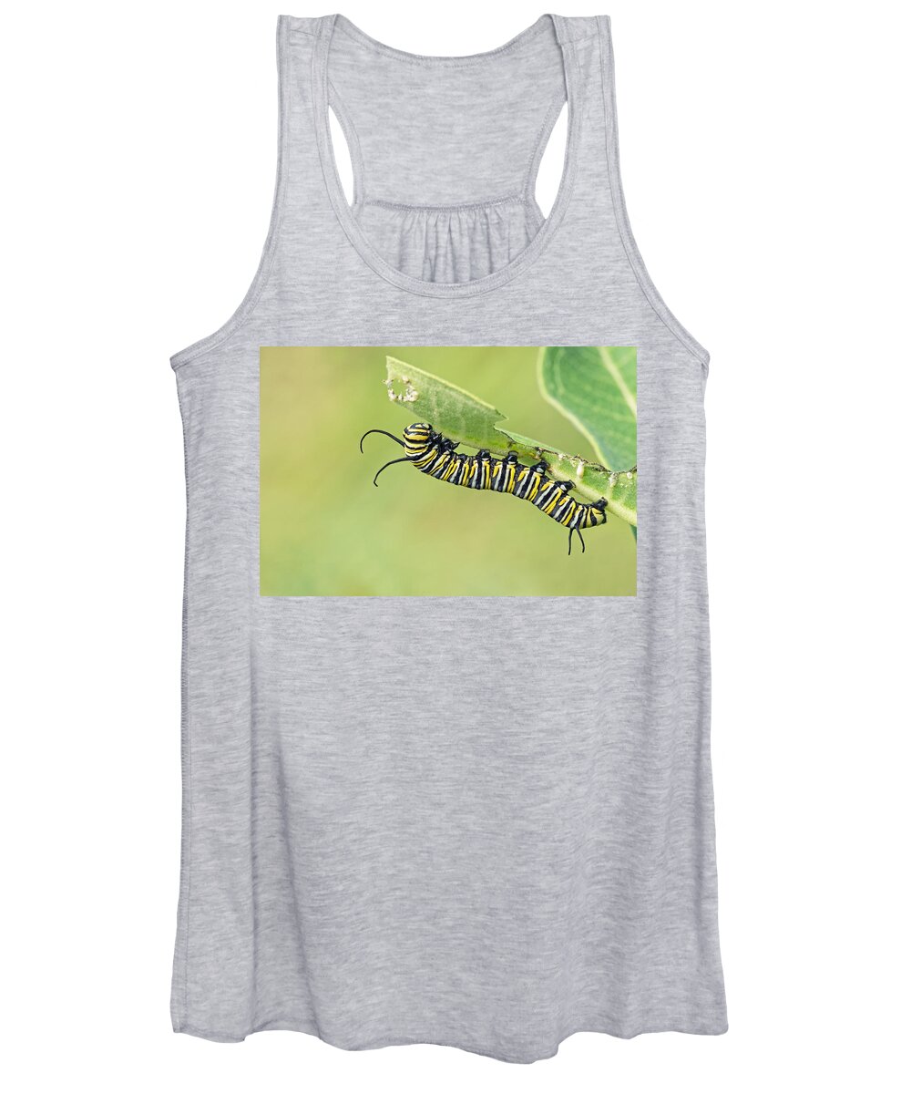 Monarch Butterfly Women's Tank Top featuring the photograph Monarch by Jim Zablotny