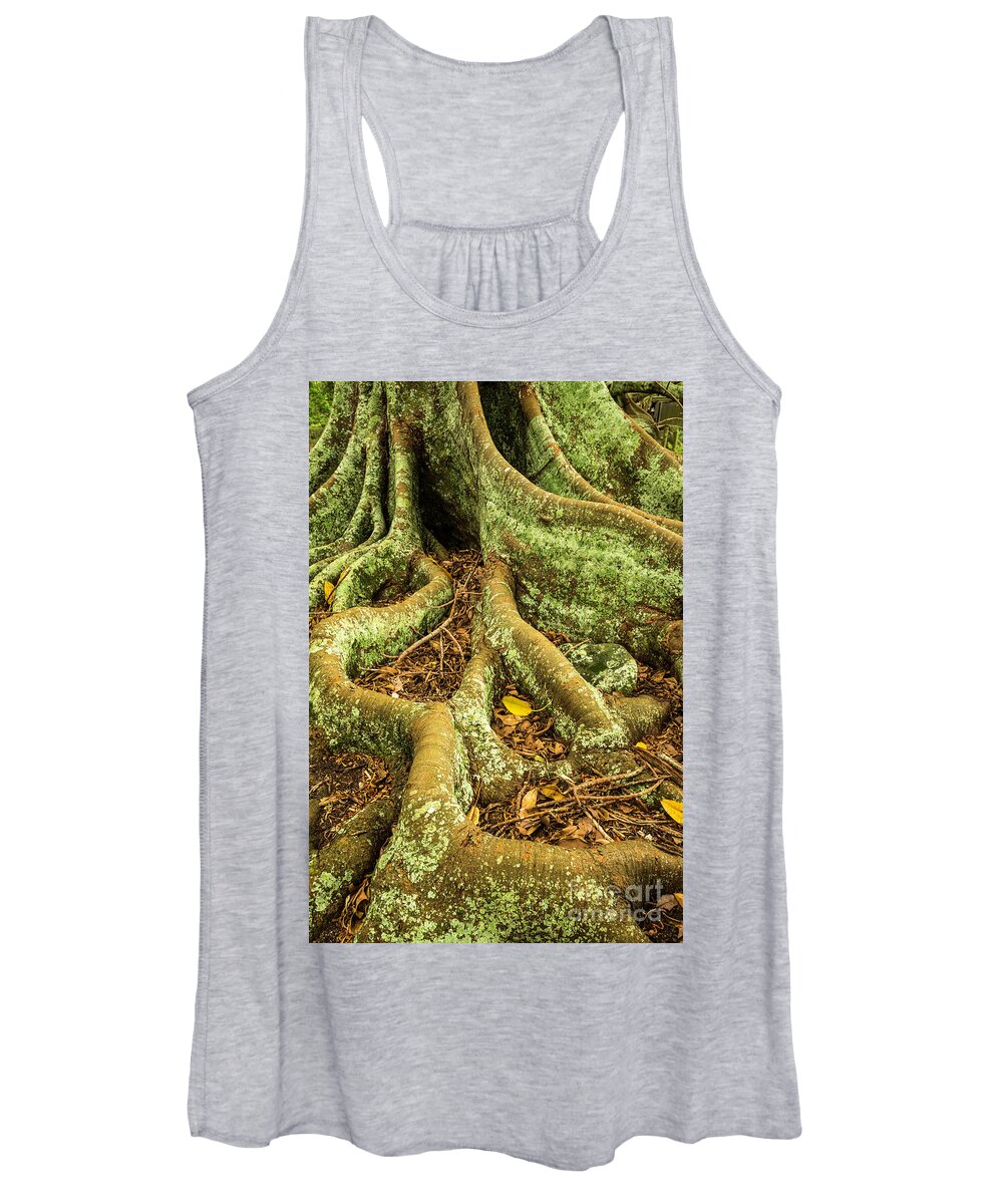 Tree Women's Tank Top featuring the photograph Moreton Bay Fig by Werner Padarin