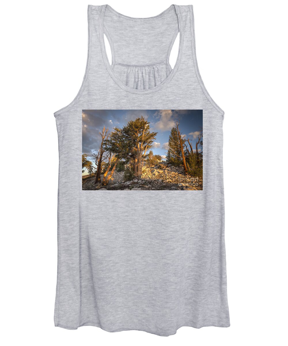 White Mountains Women's Tank Top featuring the photograph Morning in the White Mountains by Jennifer Magallon
