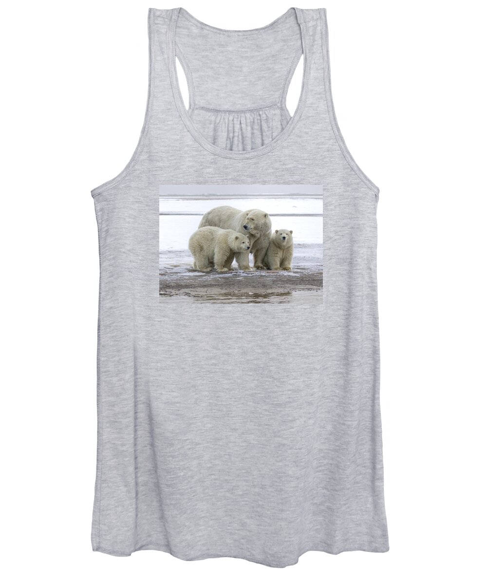 Animal Women's Tank Top featuring the photograph Mother and Cubs in the Arctic by Cheryl Strahl